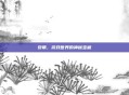 安萌，游戏世界的神秘宝藏