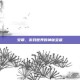 安萌，游戏世界的神秘宝藏