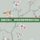 热血江湖sf，探索虚拟世界的激情与挑战