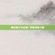揭秘世纪天成推广员的神秘力量