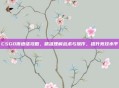 CSGO俄语话攻略,精准理解战术与操作,提升竞技水平