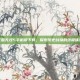 三国无双5手机版下载，探索历史战场的终极体验