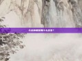 斗战神棍猴用什么宝宝？