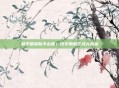 和平精英新手必看!送手册的区域大揭秘