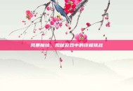 风暴魔域，揭秘游戏中的终极挑战