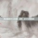 泰拉瑞亚NPC全攻略，探索、战斗与互动指南