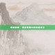 掌握盲僧，英雄联盟中的终极战士