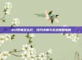 dnf野猪怎么打，技巧详解与实战策略指南