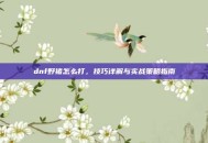 dnf野猪怎么打，技巧详解与实战策略指南