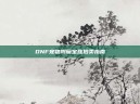 DNF宠物附魔宝珠拍卖指南
