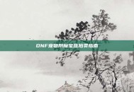 DNF宠物附魔宝珠拍卖指南
