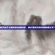 神王诺手与盖伦的终极对决，谁才是真正的英雄联盟之王？