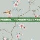 盛大网络通行证，一代网民的数字起点与青春密码