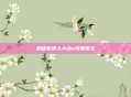 超级机器人大战a攻略图文