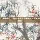 直线称王，弯道称亡，QQ飞车凌云—那辆让人又爱又恨的B级神车