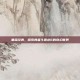 重温经典，探索勇者斗恶龙6的奇幻世界