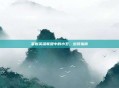 掌握英雄联盟中的小丑,出装指南