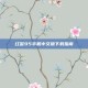 红警95手机中文版下载指南