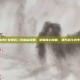 DNF女弹药二觉加点攻略，掌握核心技能，提升战斗效率