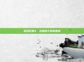 超级街霸4,终极格斗的新篇章