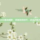 CSGO基本探员，掌握游戏技巧，成为战术大师