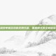 探索单机游戏的无限乐趣，联机模式的全新体验