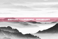 探索PUBG Lite的酒归模式，游戏攻略与技巧