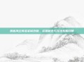 侠客风云传苦茶修改版，资源优化与玩法拓展攻略