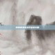 阴阳师悬赏封印孟婆攻略