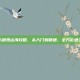 天龙八部观山海攻略，从入门到精通，全方位通关秘籍