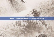 巫师3，狂猎中的诺维格瑞——探索与战斗的艺术