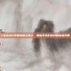 FM2012中的英格兰妖人，那些年我们追过的青春风暴