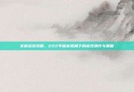 女枪出装攻略，222年版本视角下的高效操作与策略