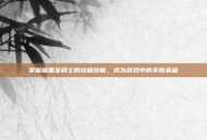 掌握暗黑圣骑士的终极技能，成为游戏中的不败英雄
