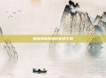 雷电将军的惩罚游戏下载