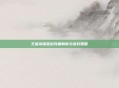 王者荣耀延迟问题解析与应对策略