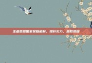 王者荣耀国家奖励机制，提升实力，赢取荣耀