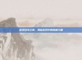 剑灵白鸟之翼，揭秘游戏中的隐藏力量