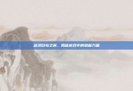 剑灵白鸟之翼，揭秘游戏中的隐藏力量