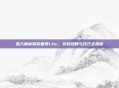 深入解析撕裂重罪1.11c，游戏攻略与技巧全揭秘