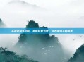 实况足球9攻略，掌握比赛节奏，成为球场上的赢家