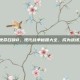 掌握使命召唤8，现代战争秘籍大全，成为战场之王！