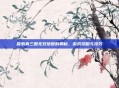 探索真三国无双地图的奥秘，游戏攻略与技巧