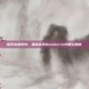 探索未知领域，最新游戏Outskirts攻略全解析