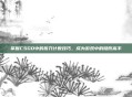 掌握CSGO中的折刀计数技巧，成为游戏中的隐形高手