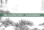 掌握CSGO中的折刀计数技巧，成为游戏中的隐形高手