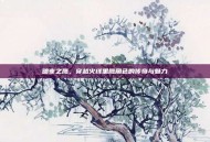 暗夜之鹰，穿越火线黑鹰角色的传奇与魅力