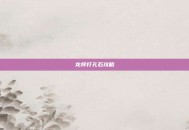 龙将打孔石攻略