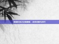 掌握影流之主的精髓，游戏攻略与技巧