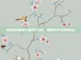 揭秘虐杀原形2黑匣子之谜，隐藏任务与终极挑战